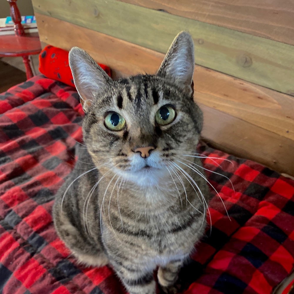 Meet your Posher, May